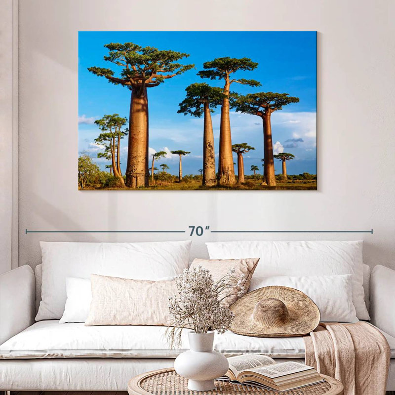 Morondava, forêt de Baobab, H 32 po x l 48 po
