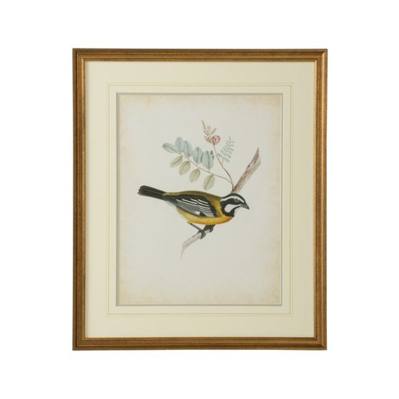 Delicate Birds V Print