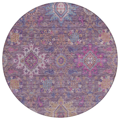 Machine Washable Indoor/Outdoor Jacinto ACN2151 Medallions Rug