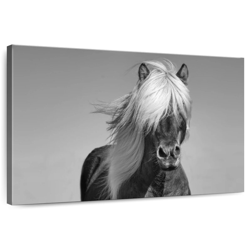 Brampt Pony, 30" H x 45" W