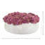Sedum Arranged in a Stone Planter-2010919695-1985559459
