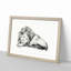 Sleeping Lion by Jean Bernard - Picture Frame Drawing Print-55619102-55619104