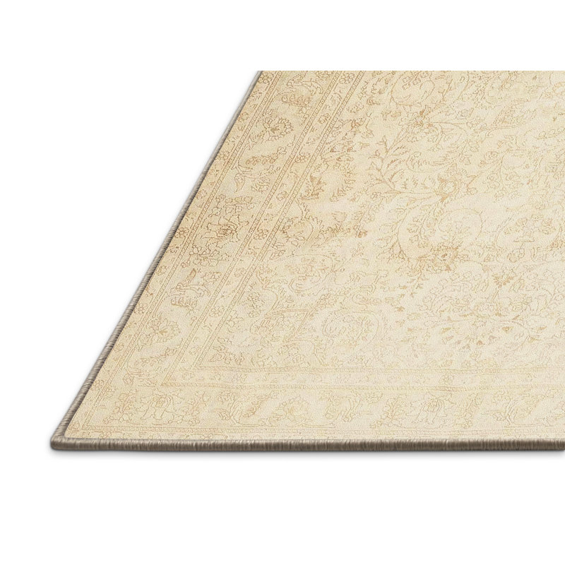 Aiyat Oriental Indoor Rug, Rectangle 4' x 6'