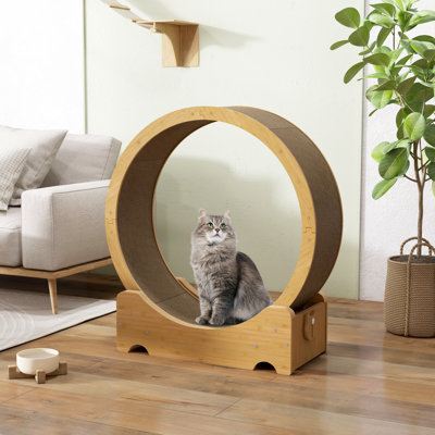 Cat Exercise Wheel for Indoor Cats, Cardboard Cat Running Wheel with Scratcher, Reversible Scratch Pad