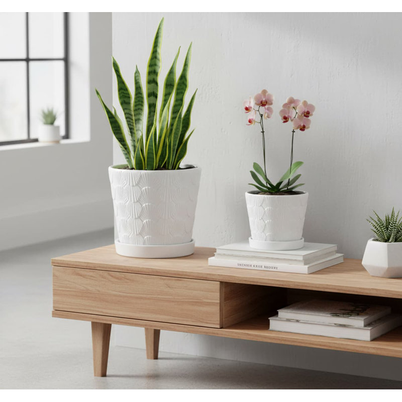 2-Piece White Ceramic Plant Pots (5+6 Inch, Drainage & Tray), White