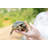 Turtle In Hand by Biggunsband - Wrapped Canvas Print-680625676