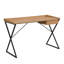 Noyack Metal Base Computer Desk