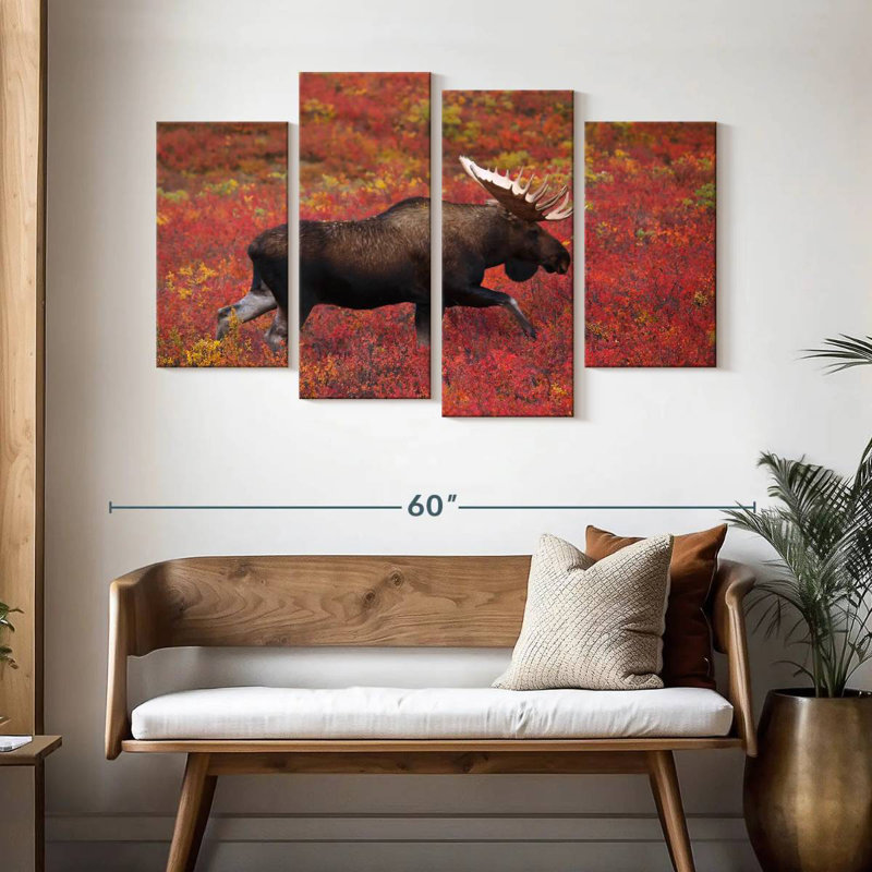 Denali National Park Moose, H 32 po x l 52 po