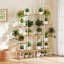 Plant Stand