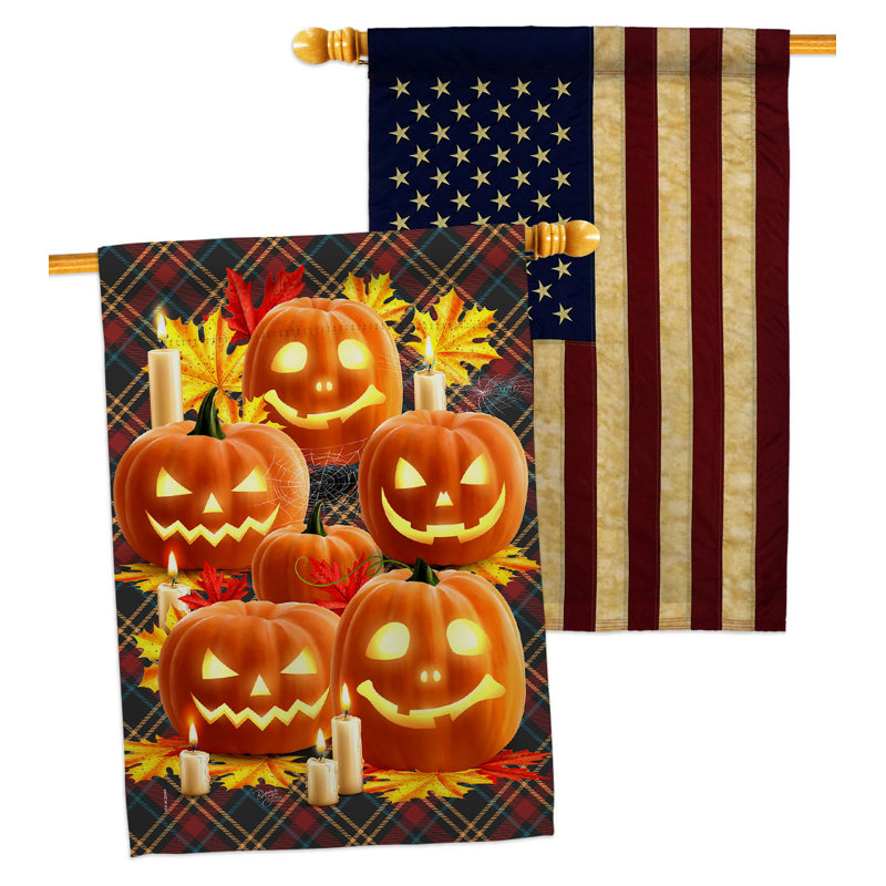 Drapeau de maison en polyester 40 po x 28 po Pumpkin Patch