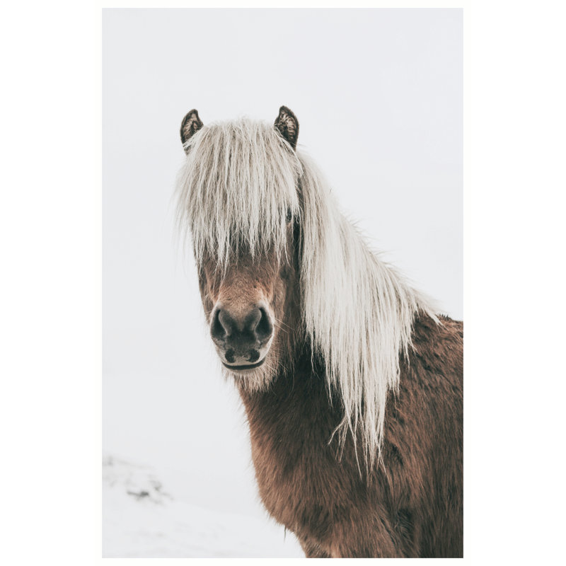 Shaggy Winter Horse - Wrapped Canvas Print, 122cm H x 81cm W x 3.8cm D