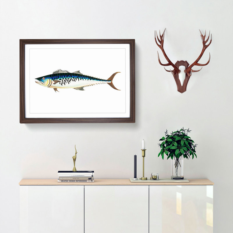 Mottled Mackerel Fish by George Shaw - Framed Print, Walnut Framed, 27cm H x 36cm W x 2cm D