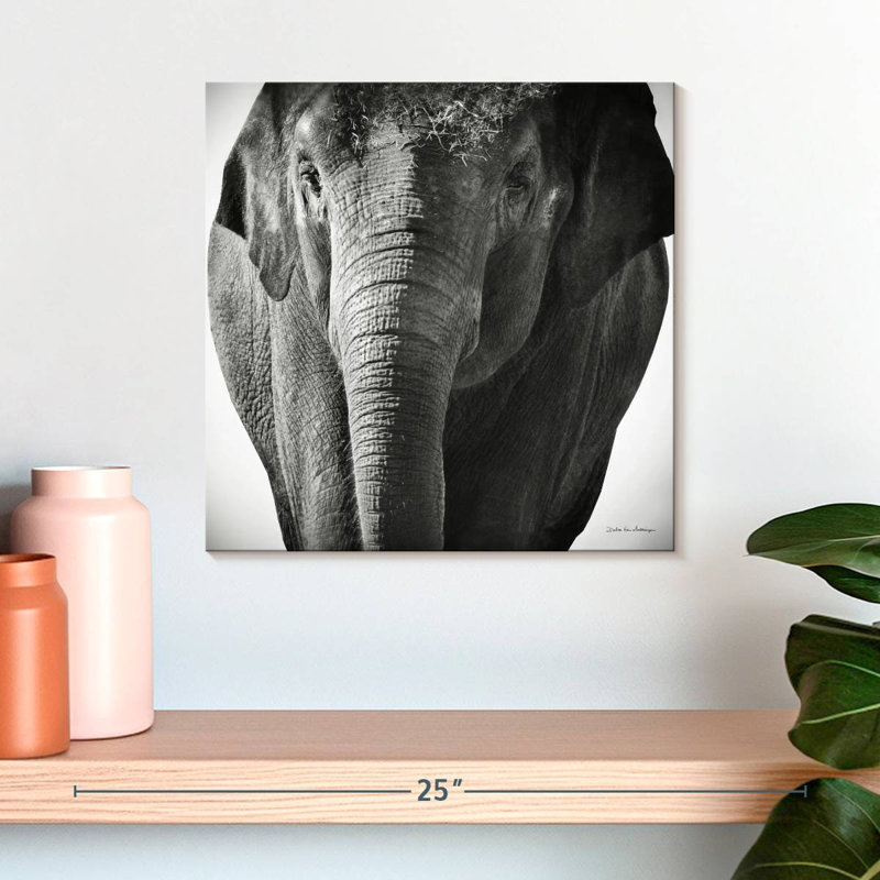 Brampt Elephant BW III, 39" H x 39" W