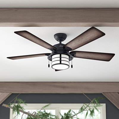 54" Key Biscayne 5 - Blade Outdoor Standard Ceiling Fan with Pull Chain and Light Kit Included