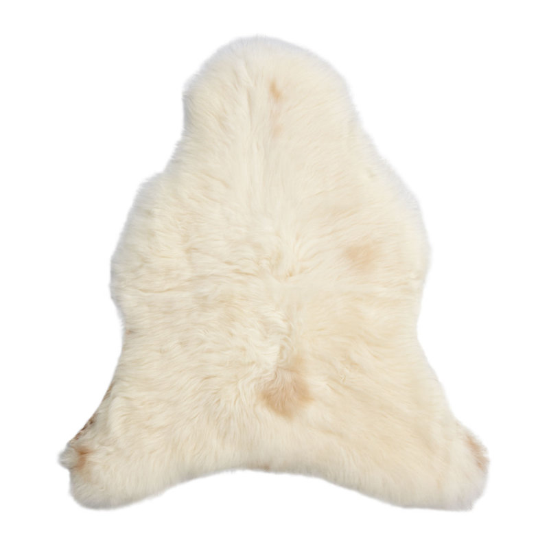 Solid Colour Sheepskin 60cm X 100cm Indoor / Outdoor Area Rug