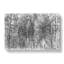 Montana Forest in Abstract - Wrapped Canvas Drawing - Wrapped Canvas-55311537