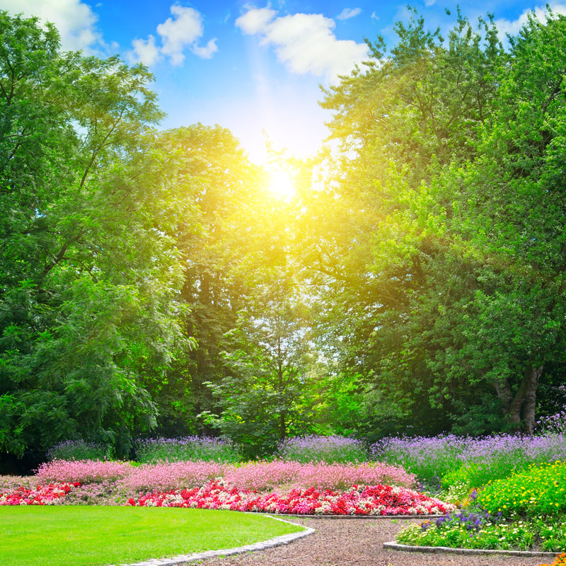 Summer Park with Flowerbeds - Photographie sur toile tendue, H 12 po x l 12 po