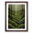 Walnut Framed