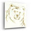 «Ours brun doré» par Chris Paschke-1102084545