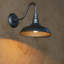 Luminaire de grange d'extérieur 15 po Ellesef-23571478