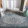 Amedee Performance Oriental Indoor/Outdoor Area Rug