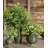 Calinda Handmade Ceramic Table Vase