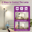 181.6cm Black Tree Floor Lamp