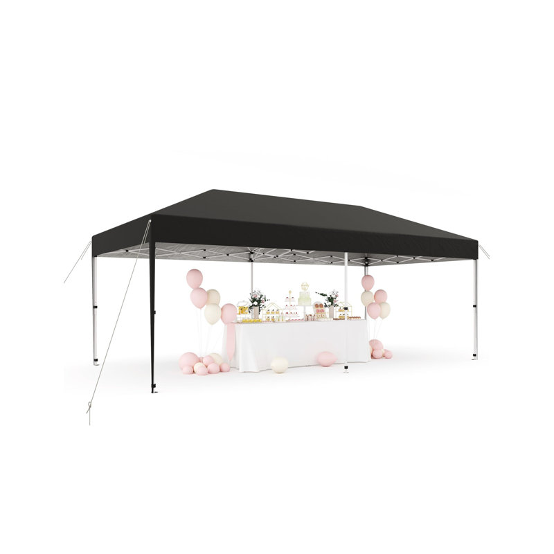 120'' W x 240'' D Metal Canopy, Noir