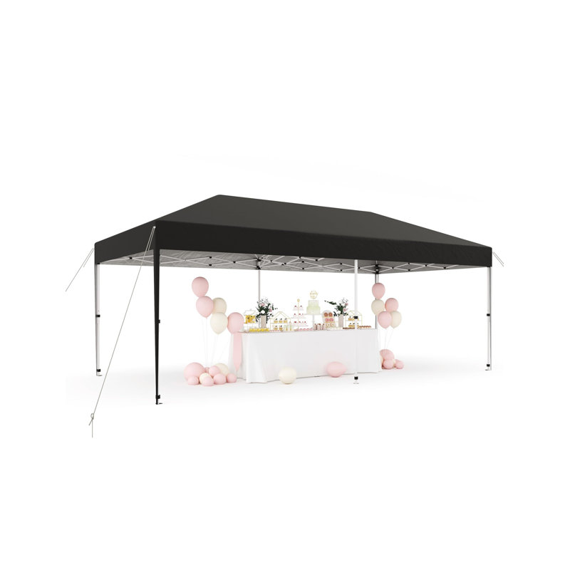 120 Ft. W x 240 Ft. D Metal Canopy, Noir