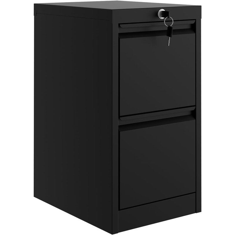 38.1cm Wide 2 -Drawer Steel File Cabinet