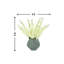 Delphinium Floral Arrangement In A Ceramic Vase