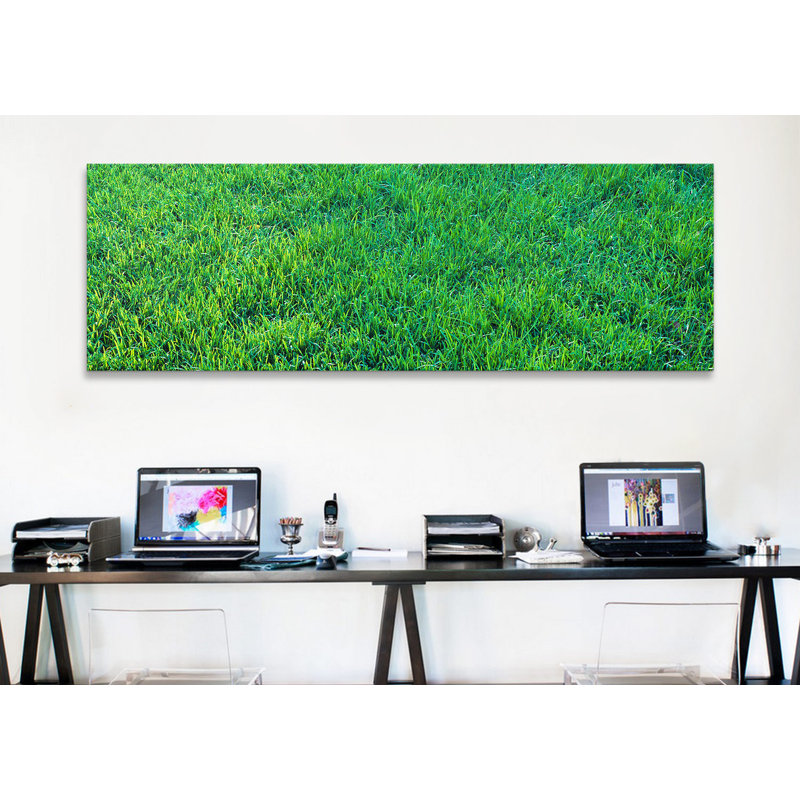 « herbe sacramento, california », reproduction de photo sur toile, H 24 po x l 72 po x P 1,5 po, Toile tendue