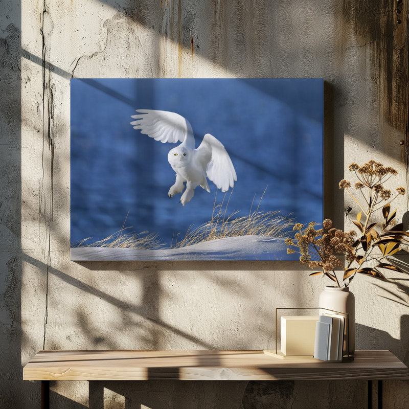Wrapped Canvas Print, 50.8 cm H x 76.2 cm W