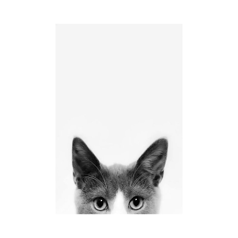 Peekaboo Kitty 1 Piece Wrapped Canvas Wall Art, 30.48 cm H x 45.72 cm W