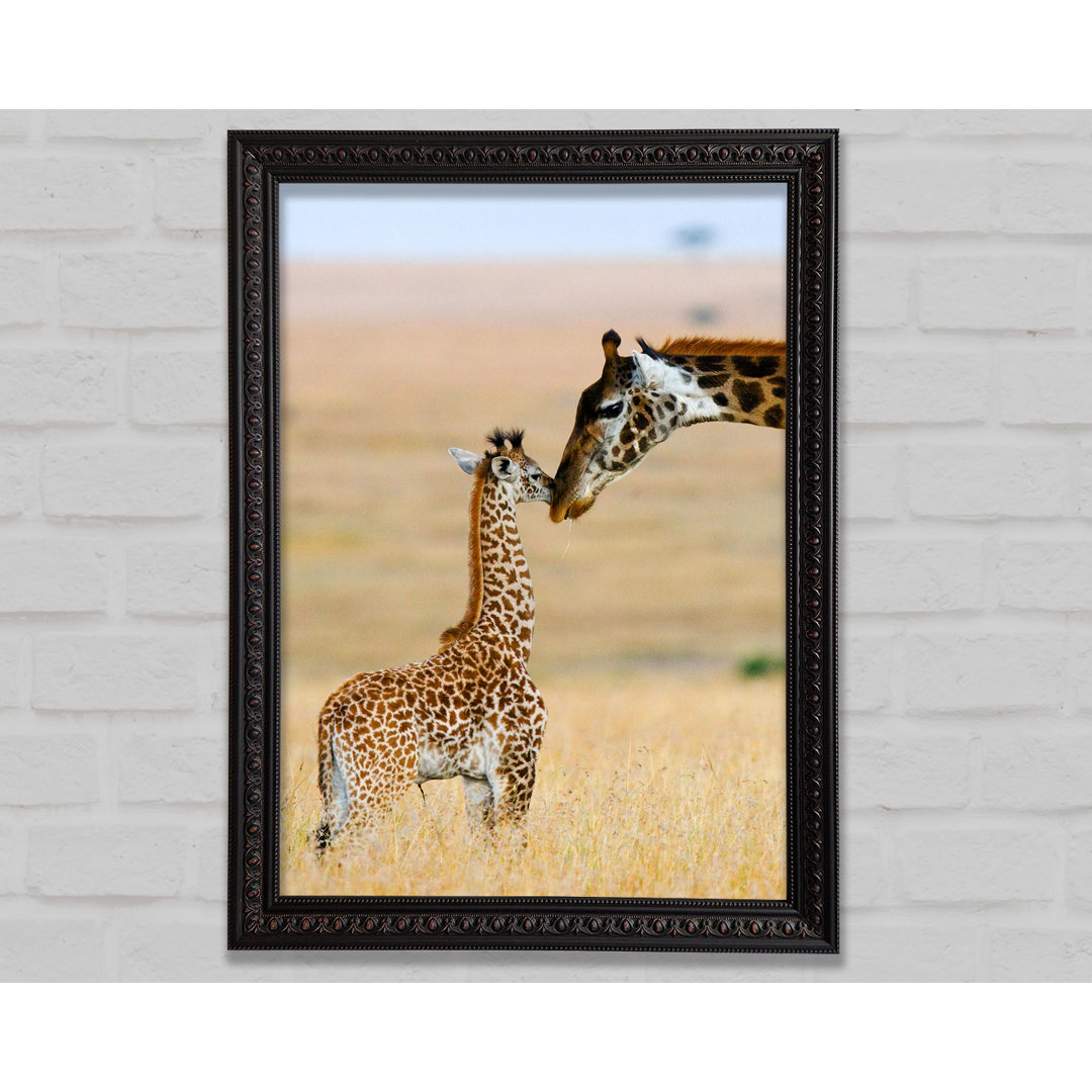 Baby Giraffe Love - Einzelner Bilderrahmen Kunstdrucke