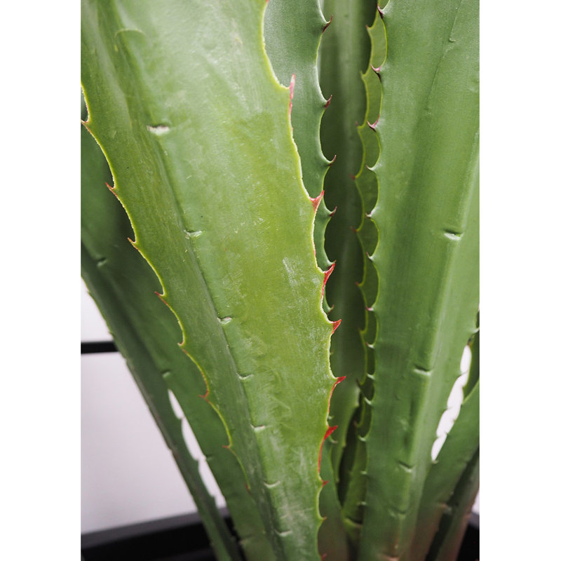 Fausse agave botanique au fini vert, H 53 po x l 26 po x P 26 po