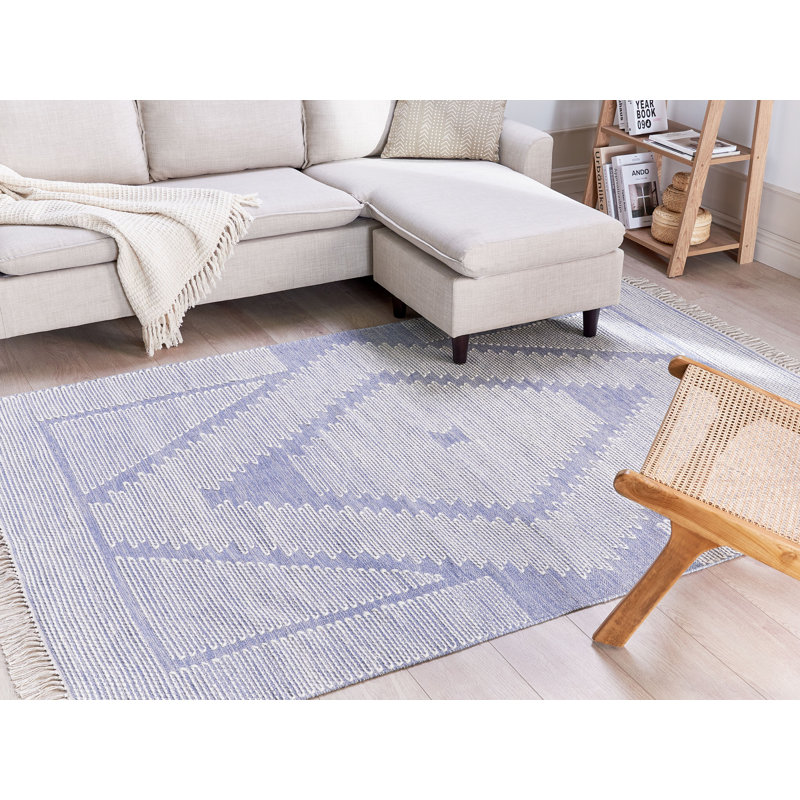 Pottstown Geometric Hand Woven Area Rug, Rectangle 160 x 230cm