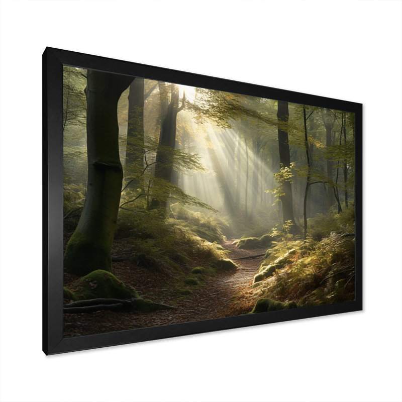 La lumière traverse la forêt III - impression, Cadre photo noir, H 12 po x l 20 po x P 1 po
