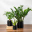 ZTHPOT Ceramic Pot Planter-739460447