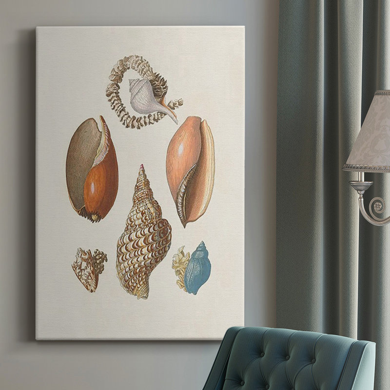 Knorr Shells & Coral I sur impression sur toile, H 60 po x l 40 po x P 1 po
