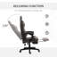 Fauteuil de jeu Vinsetto Racing