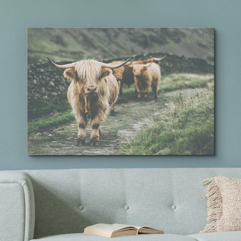 Animaux lavés en Écosse Highland Country Cow, Toile tendue, H 32 po x l 48 po x P 1,5 po