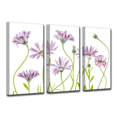 Cape Daisies I - impression sur toile