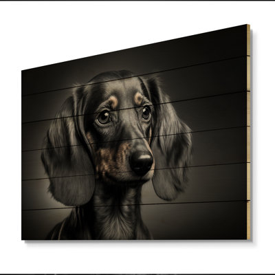 Portrait d'un teckel glam noir - impression sur bois