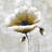 Modern flower - 32"x32" art on canvas