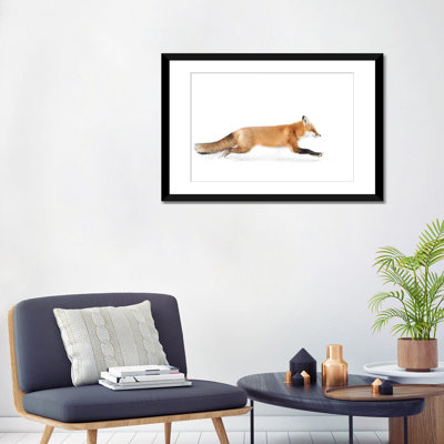 " Red Fox On The Run - Algonquin Park " by Jim Cumming