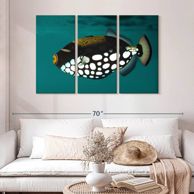 Brampt Clown Triggerfish Pet, 32" H x 50" W