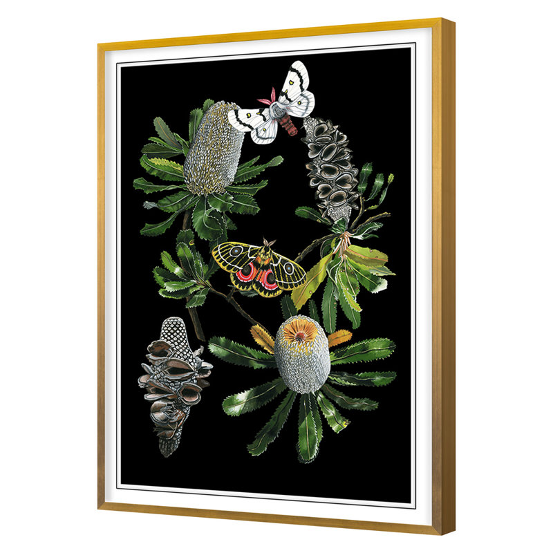 Botany Banksia Chart Print by Thicket Design, 24" H x 18" W