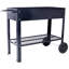Produits Jardin surélevé mobile surélevé et ergonomique pour jardin, terrasse avec roues, tablette inférieure, noir