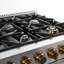 48 in. 6.7 cu. ft. Dual Fuel Range in Stainless Steel with Gold Accents and Kucht Horus Thermostat-724291373